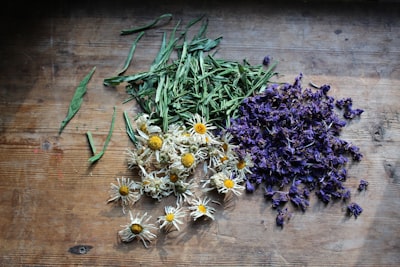 Best Adaptogens 2026: Top 7 Stress-Relief Herbs Compared