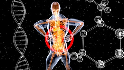 Best Supplements for Back Pain 2026: Evidence-Based Guide