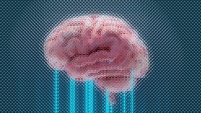 Best Supplements for Brain Fog 2026: Evidence-Based Guide