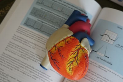Best Supplements for Cholesterol 2026: 5 Tested — What Actually Improves Lipid Panels