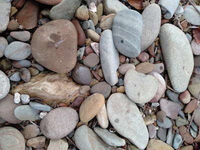 Best Supplements for Kidney Stones 2026: 5 Tested — What Actually Prevents Recurrence