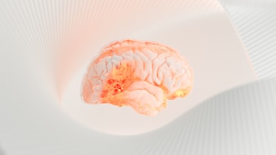 Best Supplements for REM Sleep 2026: Enhancing Your Dream Sleep