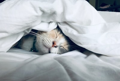 Best Supplements for Sleep: The Complete Mineral & Nutrient Stack
