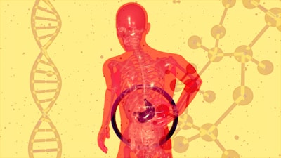 Best Supplements for Stomach Health 2026: The Complete Guide