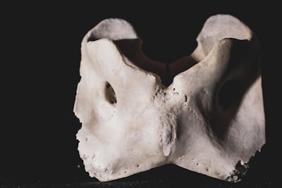 Best Supplements for Women's Bone Health: Evidence-Based Guide (2026)