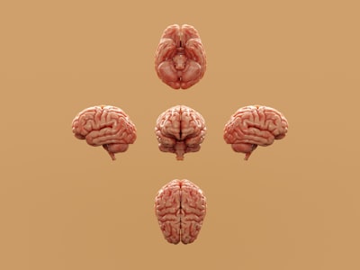 Best Supplements for Women's Brain Health: Evidence-Based Guide (2026)