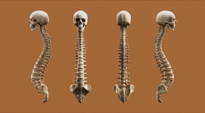 Bone Health Stack: Beyond Calcium — 7 Supplements for Strong Bones