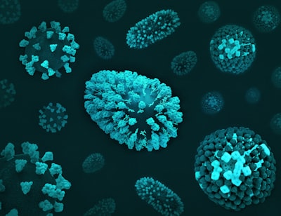 Best Supplements for Immune System: The Complete Mineral & Vitamin Stack