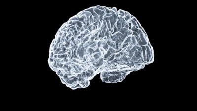 Phosphatidylserine Benefits: The Brain Cell Membrane Supplement