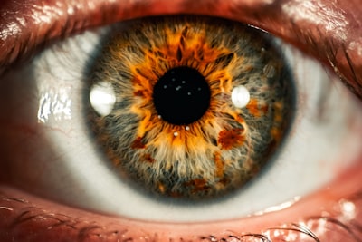 Best Supplements for Eye Health: Lutein, Zeaxanthin, and Essential Minerals