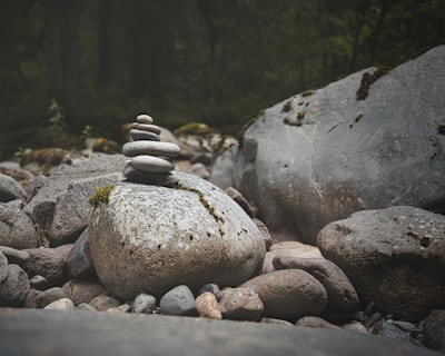 The Ultimate Focus Stack: 7 Supplements for Concentration & Clarity