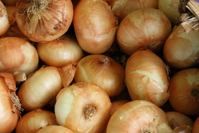 Zinc vs Quercetin for Immunity: Which Works Better?